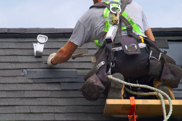 Best Gutter Installation and Roofing  in Lake Holiday, IL