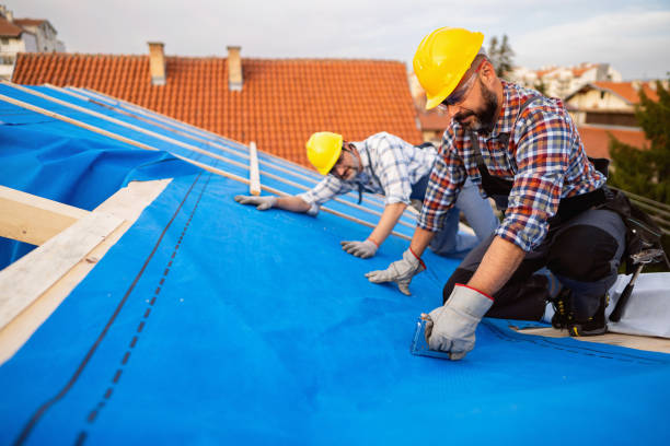 Best Commercial Roofing Services  in Lake Holiday, IL